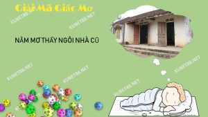 nam-ngu-mo-thay-ngoi-nha-cu-danh-con-gi
