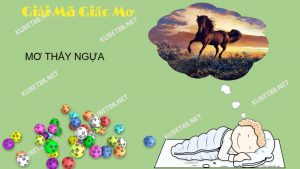 mo-thay-ngua-danh-con-lo-gi