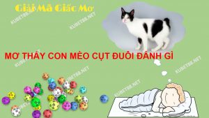 nam-ngu-mo-thay-meo-cut-duoi-danh-con-gi