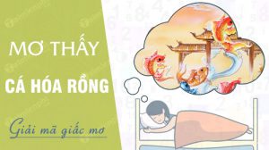 nam-mo-thay-ca-hoa-rong