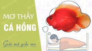nam-mo-thay-ca-hong
