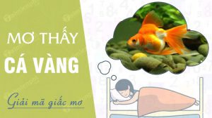 nam-mo-thay-ca-vang