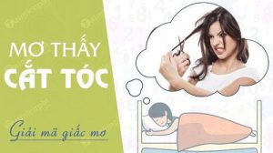 nam-mo-thay-cat-toc-danh-con-gi-la-diem-bao-gi