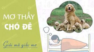 nam-mo-thay-cho-de-sinh-con