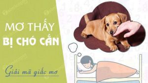 nam-ngu-mo-thay-bi-cho-can-ruot-duoi-minh