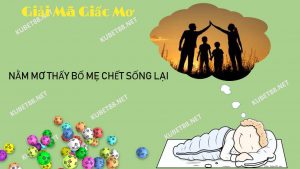 nam-mo-thay-bo-me-chet-song-lai-danh-con-gi-va-diem-bao-gi