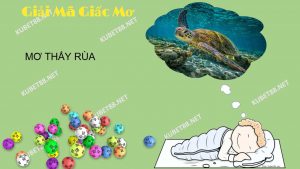 nam-mo-thay-rua-danh-con-gi-diem-bao-gi