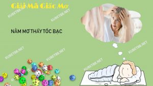 y-nghia-giac-mo-thay-toc-bac-va-con-so-nen-danh