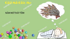 giac-mo-thay-tom-tep-bao-hieu-diem-gi-lo-de-danh-con-nao-chuan