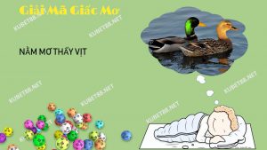 nam-mo-thay-vit-danh-con-gi-chuan