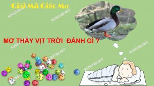 nam-mo-thay-vit-troi-diem-bao-gi-lo-de-danh-con-nao-chuan
