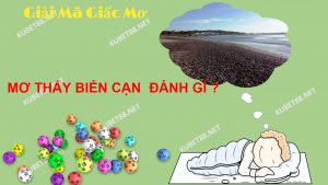 bi-an-giac-mo-thay-bien-can-va-con-so-lien-quan