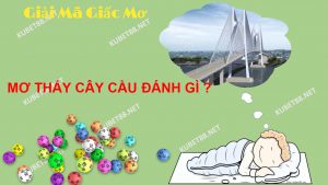 mo-thay-cay-cau-va-con-so-lo-de-chuan