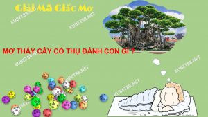 giai-ma-giac-mo-thay-cay-co-thu-va-con-so-lien-quan