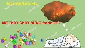 diem-bao-giac-mo-thay-chay-rung-va-con-so-lien-quan