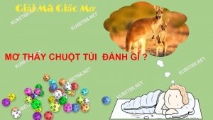 diem-bao-giac-mo-thay-chuot-tui-va-con-so-lo-de-lien-quan