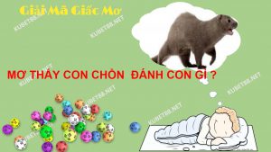 mo-thay-con-chon-danh-gi