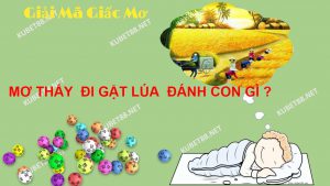 y-nghia-giac-mo-thay-gat-lua-va-con-so-phat-tai