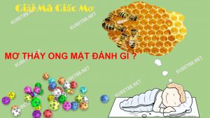 y-nghia-xung-quang-giac-mo-thay-ong-mat-va-con-so-lo-de-chuan