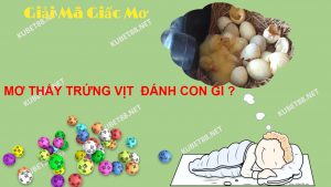 Nằm mơ thấy trứng vịt điềm báo gì? lô đề đánh con nào chuẩn?