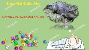 nam-mo-thay-ca-sau-danh-con-gi-diem-bao-gi