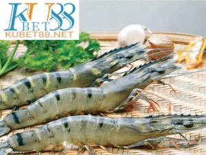 nằm mơ thấy tôm