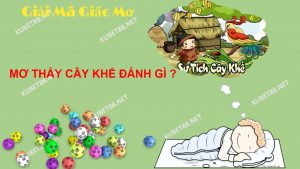 mo-cay-khe (1)