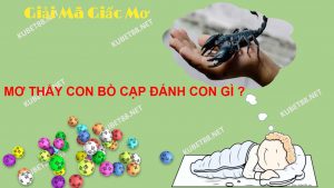 he-lo-bi-an-giac-mo-thay-bo-cap-va-con-so-lien-quan