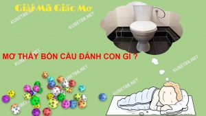 nam-mo-thay-bon-cau-danh-con-gi-va-diem-bao-gi