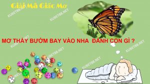 ven-man-diem-bao-giac-mo-thay-buom-bay-vao-nha