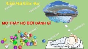 y-nghia-giac-mo-thay-ho-boi-va-con-so-lien-quan