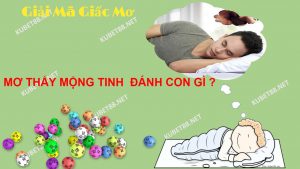ngu-mo-thay-mong-tinh-diem-bao-gi-con-so-nao-may-man