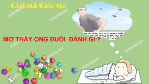 y-nghia-xung-quang-giac-mo-thay-ong-duoi-va-con-so-lo-de-chuan
