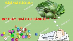 giac-mo-thay-qua-cau-va-con-so-lo-de-chuan