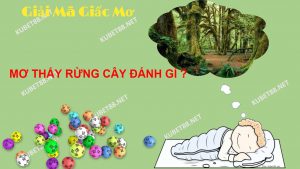ngu-mo-thay-rung-cay-va-con-so-lo-de-chuan