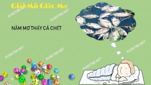 NAM MO THAY CA CHET