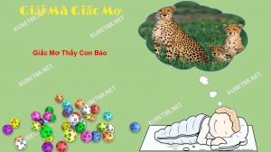 Giai ma giac mo thay con bao