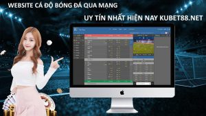 Bật mí các tiêu chí để chọn web cá độ bóng đá qua mạng uy tín