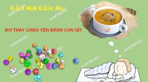 Bạn mơ thấy cháo yến và băn khoăn không biết giấc mộng này mang điềm báo gì?