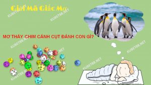 Ý nghĩa giấc mơ thấy chim cánh cụt là gì?