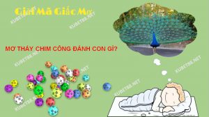 Ý nghĩa của giấc mơ thấy chim công là gì?