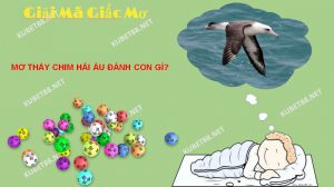 Điềm báo của giấc mơ thấy chim hải âu