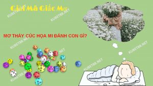 Với lịch sử của sổ chiêm bao thì cho thấy việc mơ thấy cúc họa mi mang tới nhiều điềm báo