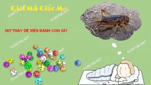 Điềm báo của giấc mơ thấy dế mèn