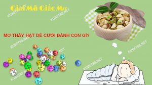 Giấc mơ thấy hạt dẻ cười chứng tỏ cuộc sống hiện tại của bạn rất vui vẻ và hạnh phúc