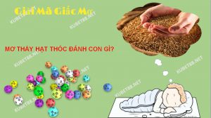 Đa phần những giấc mơ thấy hạt thóc thường là điềm báo tốt