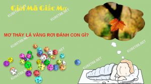Theo các chuyên gia thì những giấc mơ thấy lá vàng rơi hầu hết đều đem lại may mắn