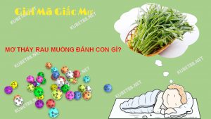 Mơ thấy rau muống có ý nghĩa gì?