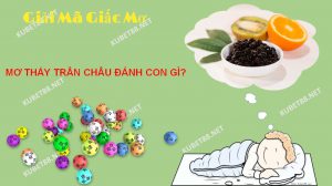 Điềm báo của giấc mơ thấy trân châu là gì?