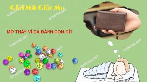 Việc nằm mơ thấy ví da cho thấy bạn đang có nỗi băn khoăn gì đó về tài chính